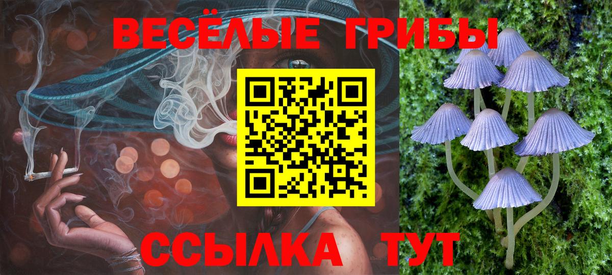 Галлюциногенные грибы Psilocybe Ликино-Дулёво